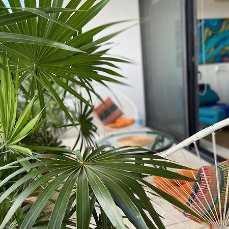 Family Apartments Near Beach Polo88 بلايا ديل كارمن المظهر الخارجي الصورة