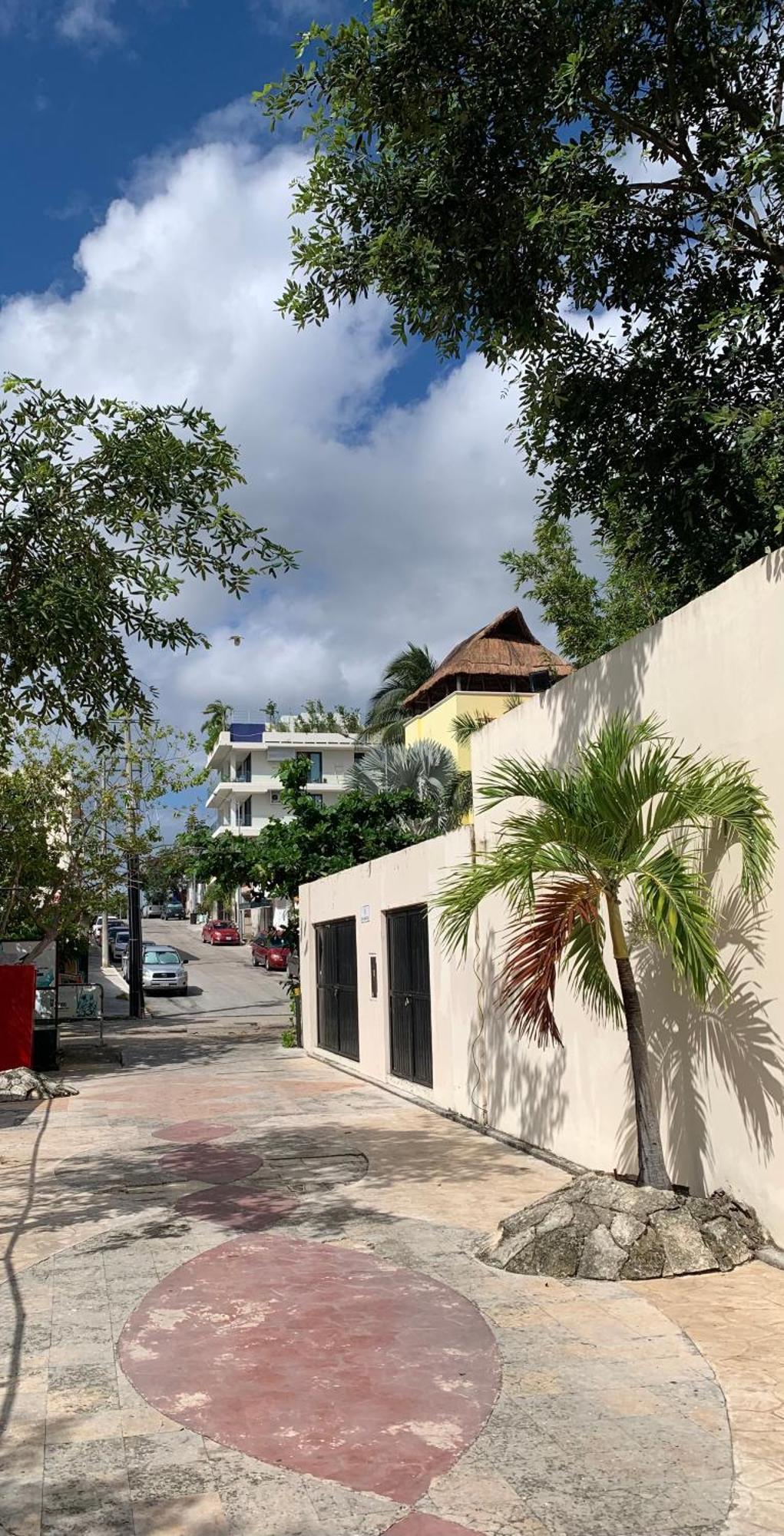 Family Apartments Near Beach Polo88 بلايا ديل كارمن المظهر الخارجي الصورة